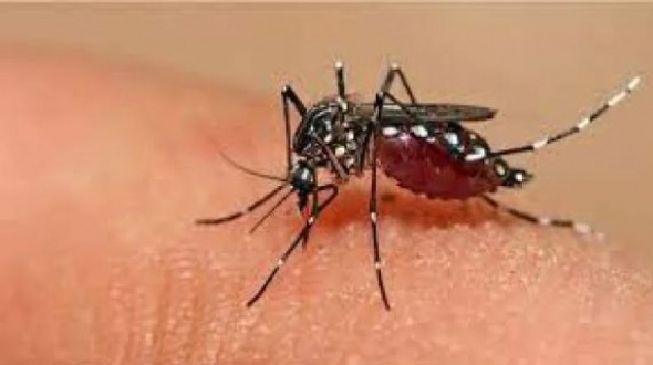 Un intendente correntino tiene dengue: se recupera lentamente